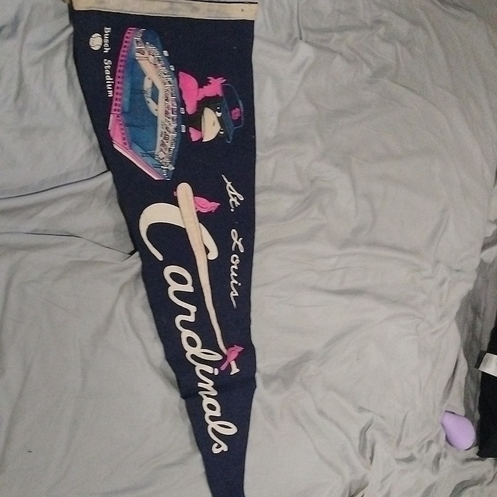 Saint Louis Cardinals vintage banner